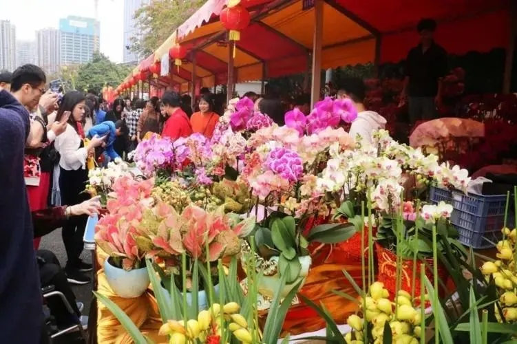 1671527581962663.jpg 4.webp_副本.jpg