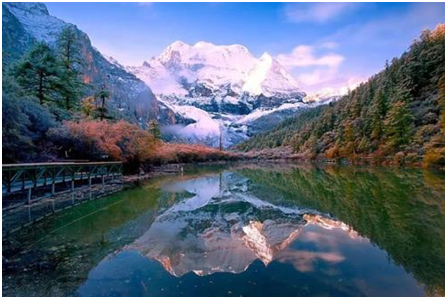 1584065983531442.png 4.png